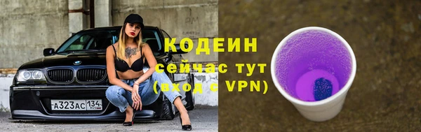 винт Каменка