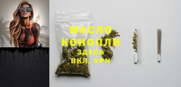 винт Каменка