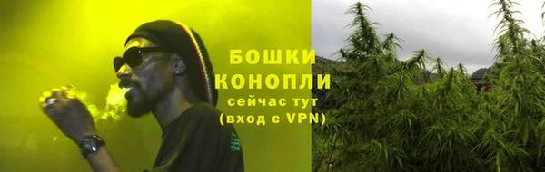 винт Каменка