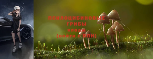 mdpv Касимов