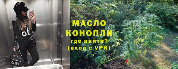 винт Каменка