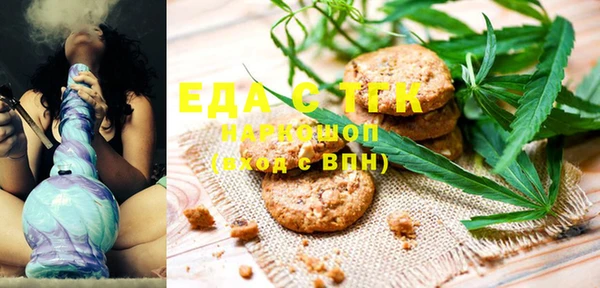 индика Карталы
