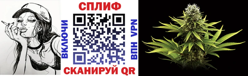 Купить где  Камышин  Марихуана гибрид 